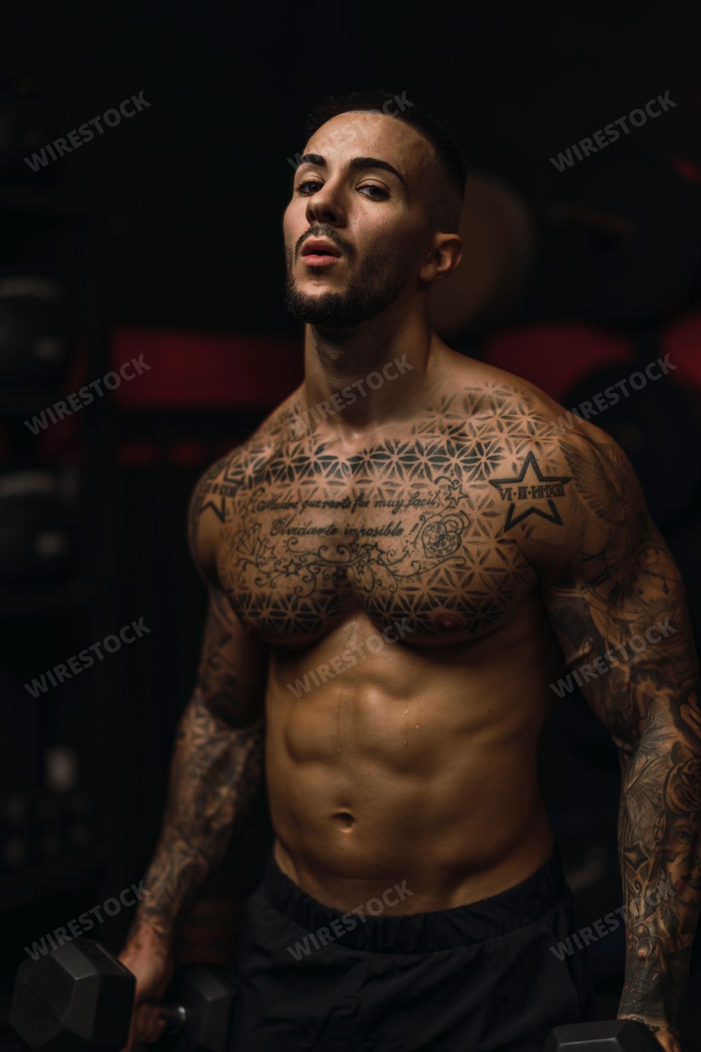 A vertical shot of a fit Caucasian tattooed topless male athlete lifting dumbbells