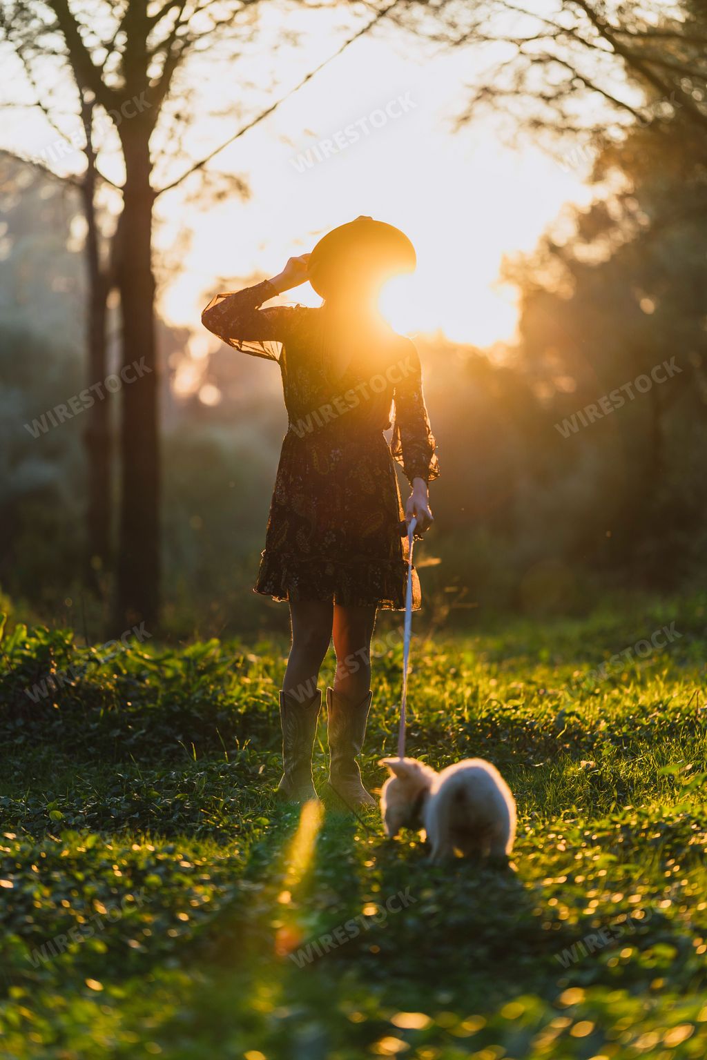 A female adult and her canine companion are strolling through a lush green meadow illuminated by a bright, golden sun