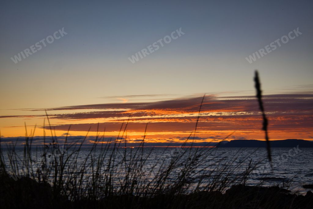The sun setting over the ocean and the grass in the foreground
