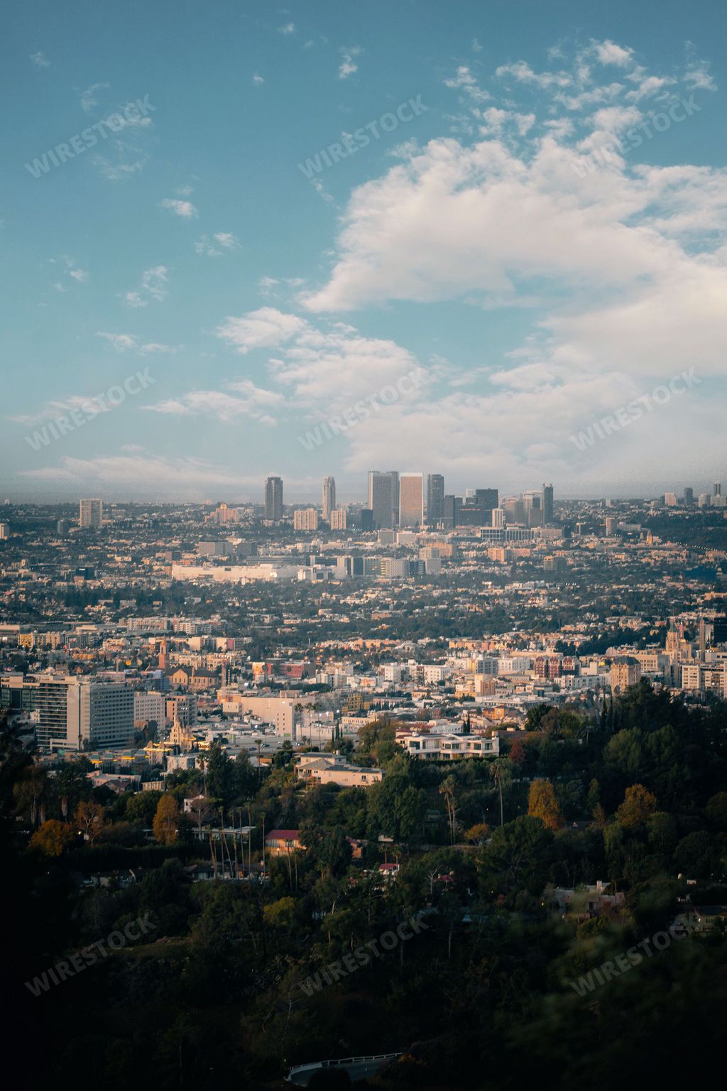 A vertical shot of the Culver City skyline, California, on a sunny day