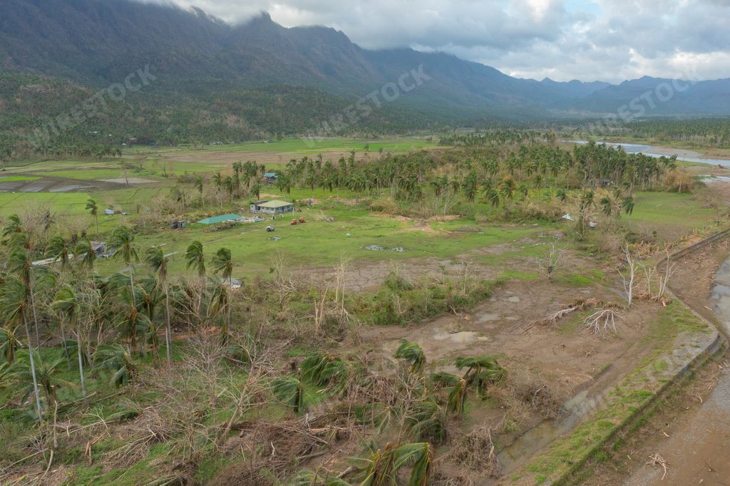 Aerial view of a vast area of land, with a vast expanse of grass and trees stretching out as far as the eye can see