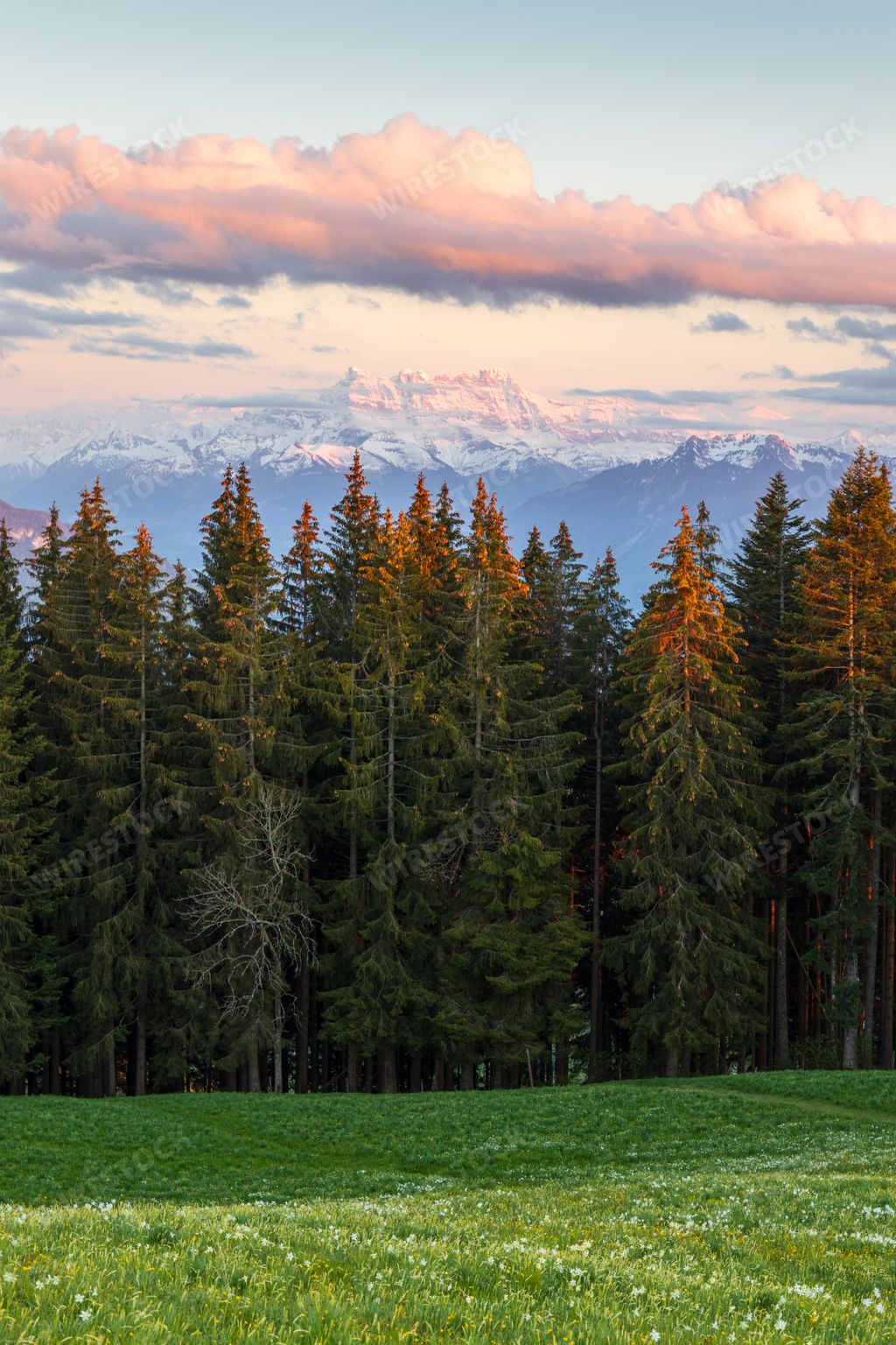 A vertical shot of a sunset over a mountain range, with a forest  in Les Pleiades, Switzerland