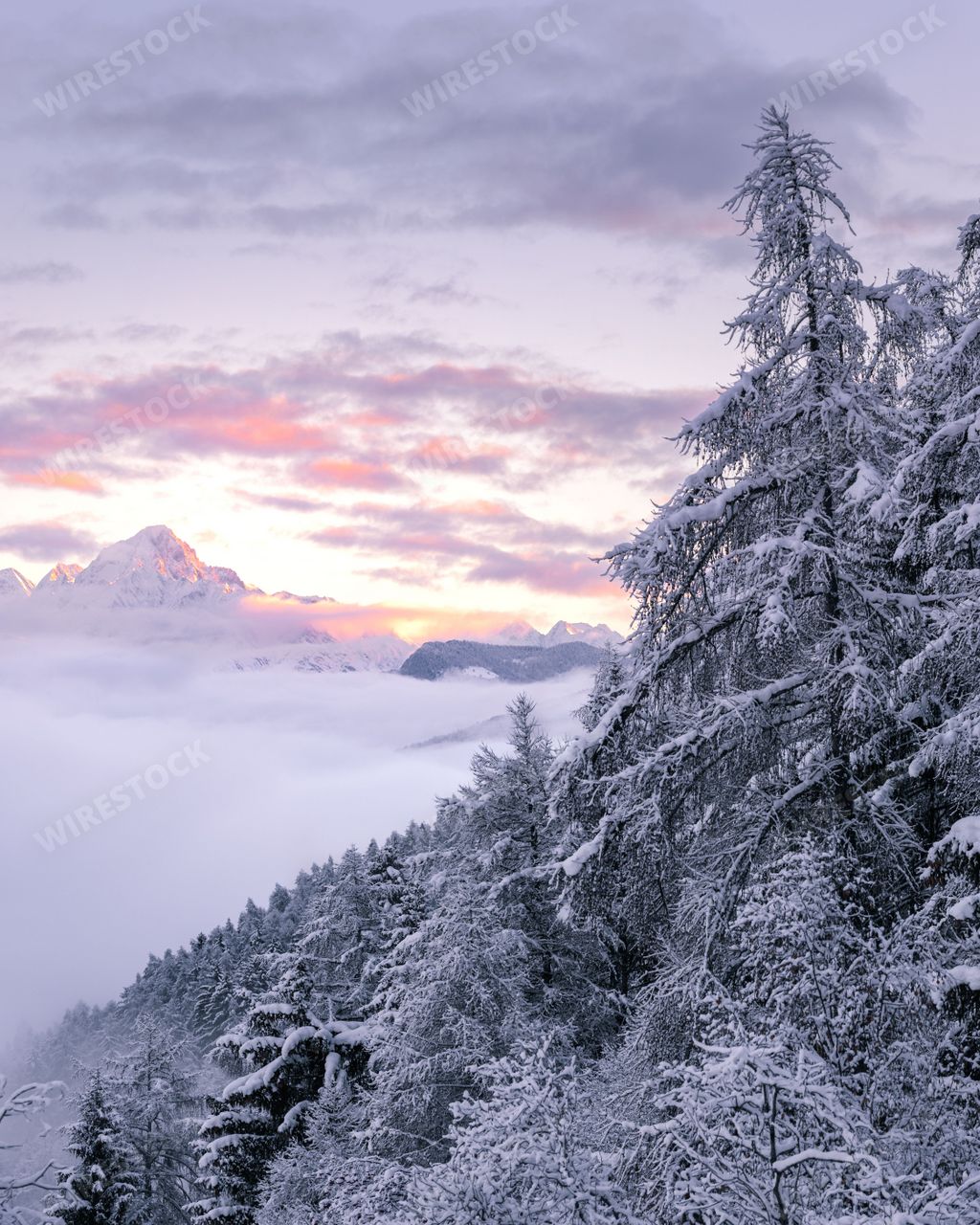 Winter landscape view with snow-covered trees and mountain peaks emerging from the cloud inversion at sunrise