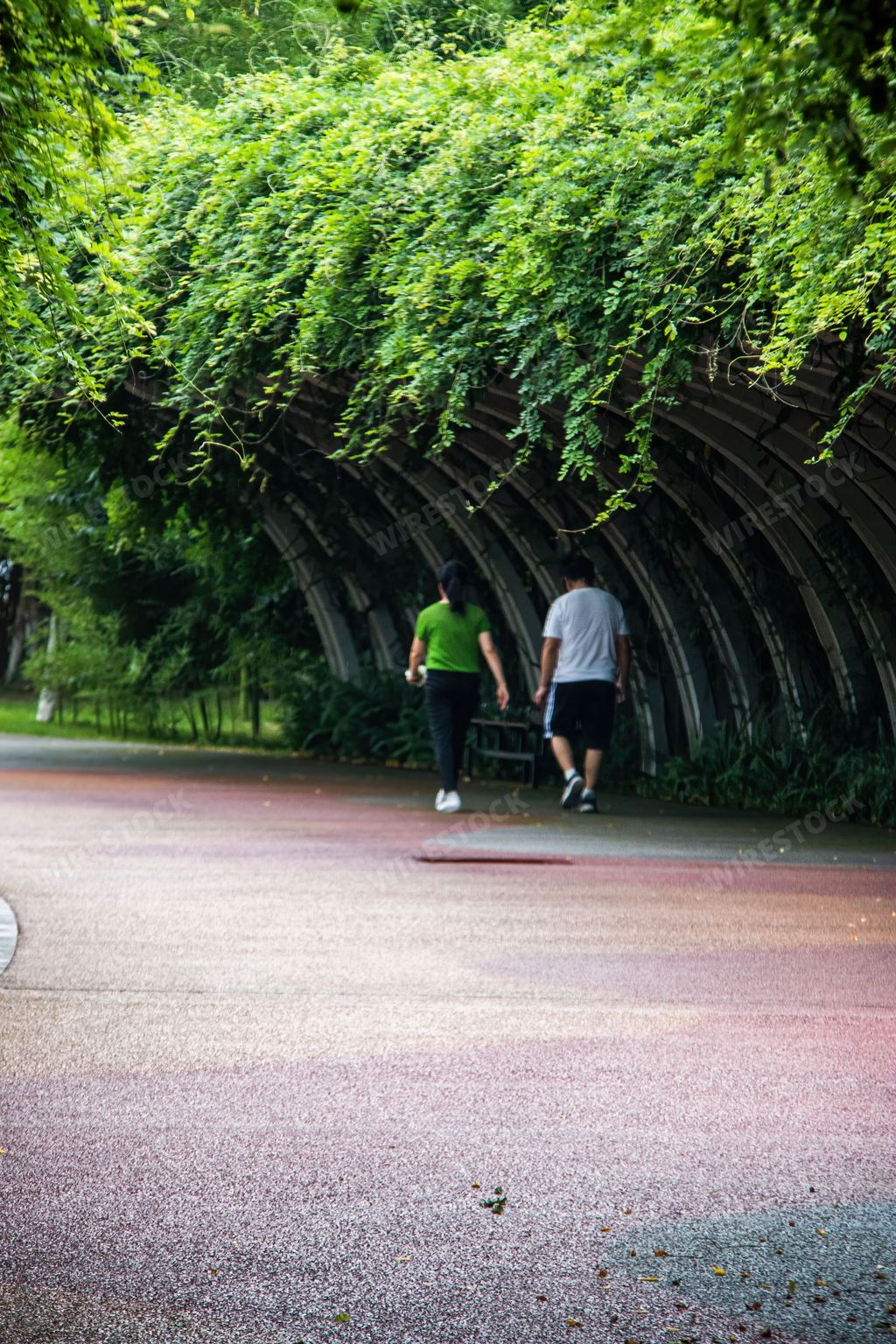 A vertical shot of people walking in the evergreen Dongpo Urban Wetland Park in Meishan, China