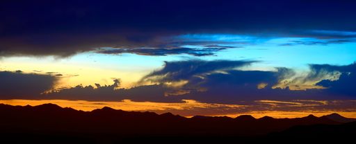 Beauty of the Arizona Desert