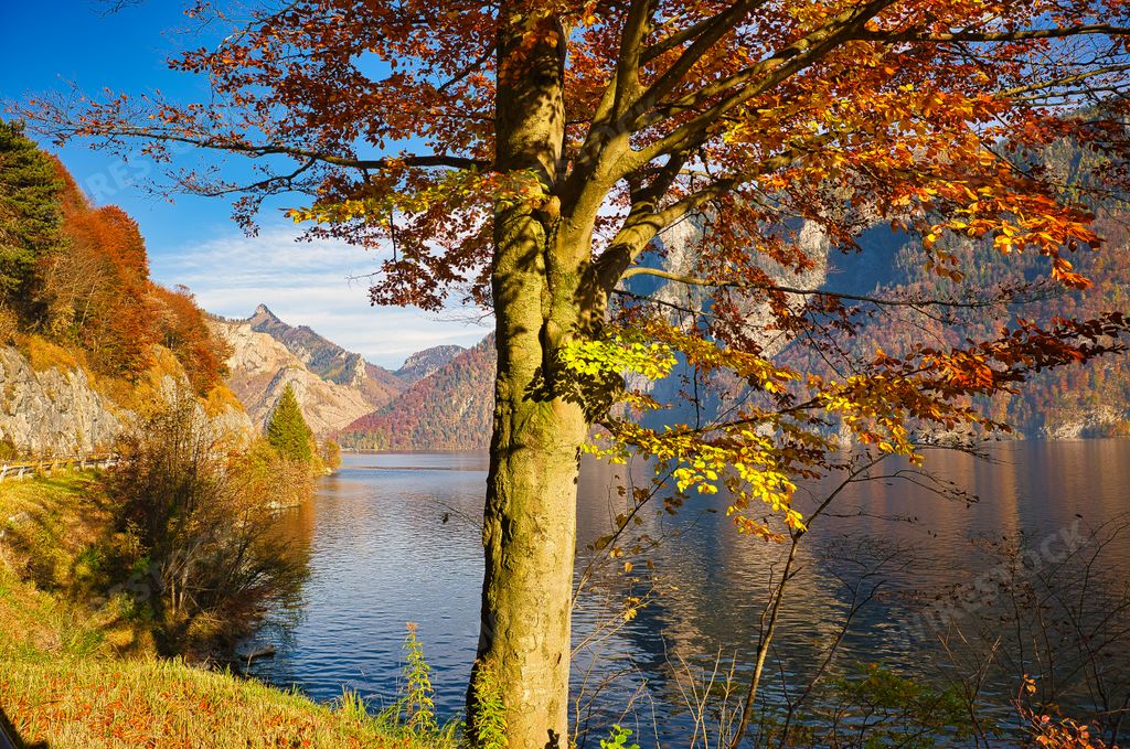 The beautiful autumn near the lake Traunsee in the Salzkammergut area, Upper Austria