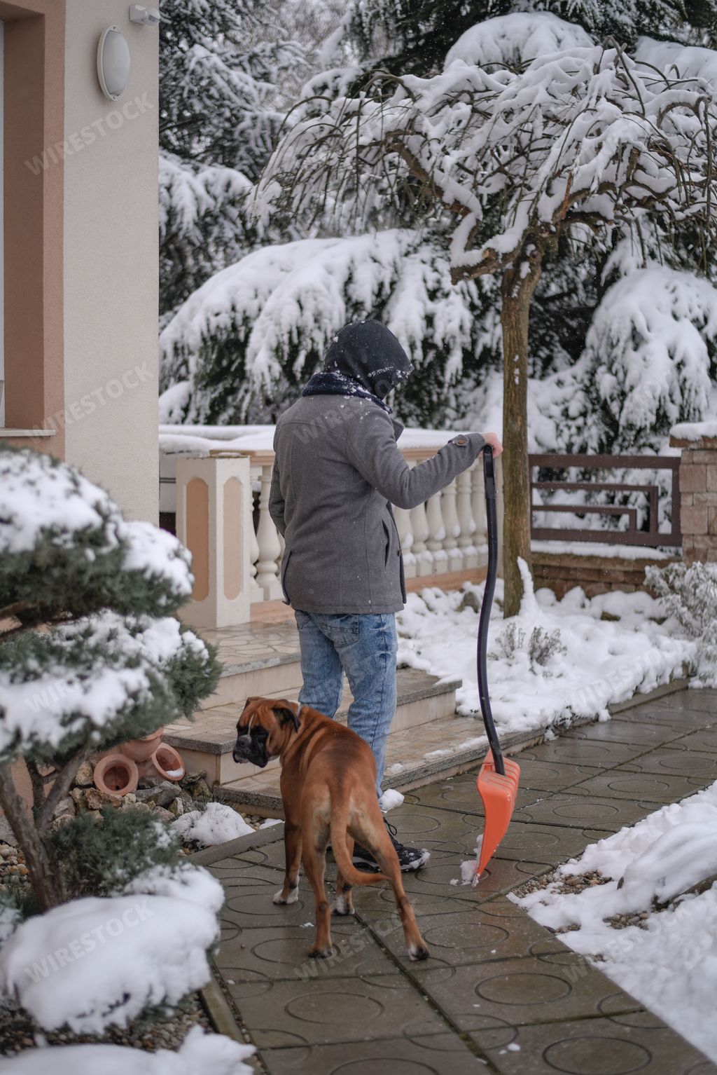 A person with a dog cleaning the snow on the road with a shovel during heavy winter weather