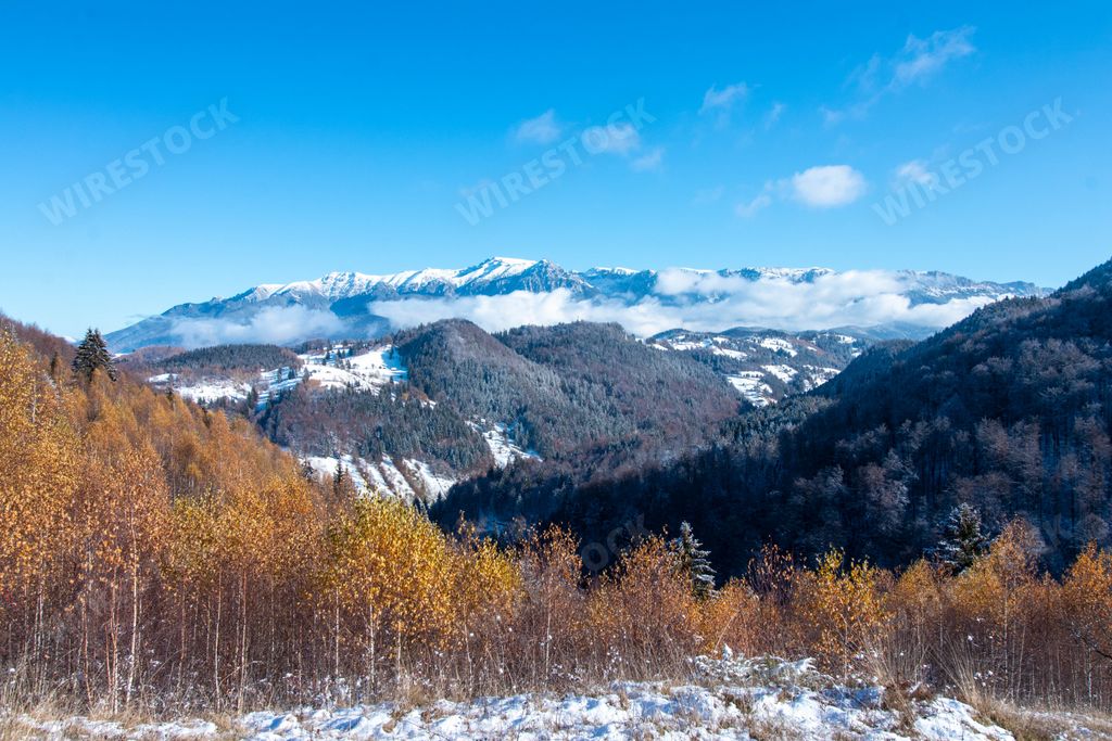 A beautiful scenery of a valley with the mountains covered in snowy forests in the winter