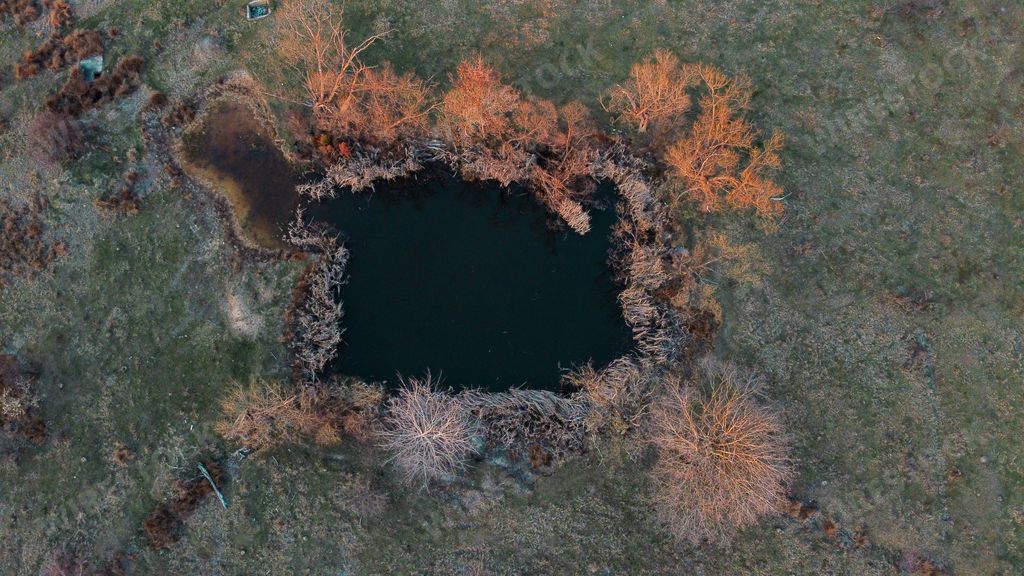 A small lake in the middle of a meadow surrounded by trees